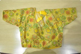 Designer Blouse Collection 4